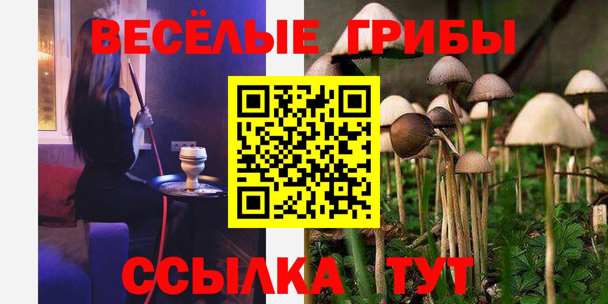 Галлюциногенные грибы GOLDEN TEACHER Жуковский